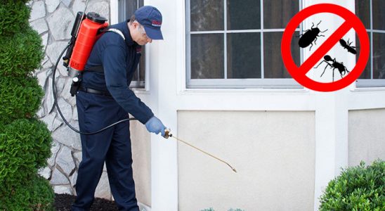 Sarıkamış Dezenfeksiyon böcek ilaçlama ve haşere kontrolü — ilaclama-tr.com